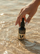 Load image into Gallery viewer, Organic Mushroom Complex