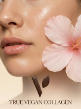 Load image into Gallery viewer, True Vegan Collagen + Vitamin A, Biotin &amp; B5
